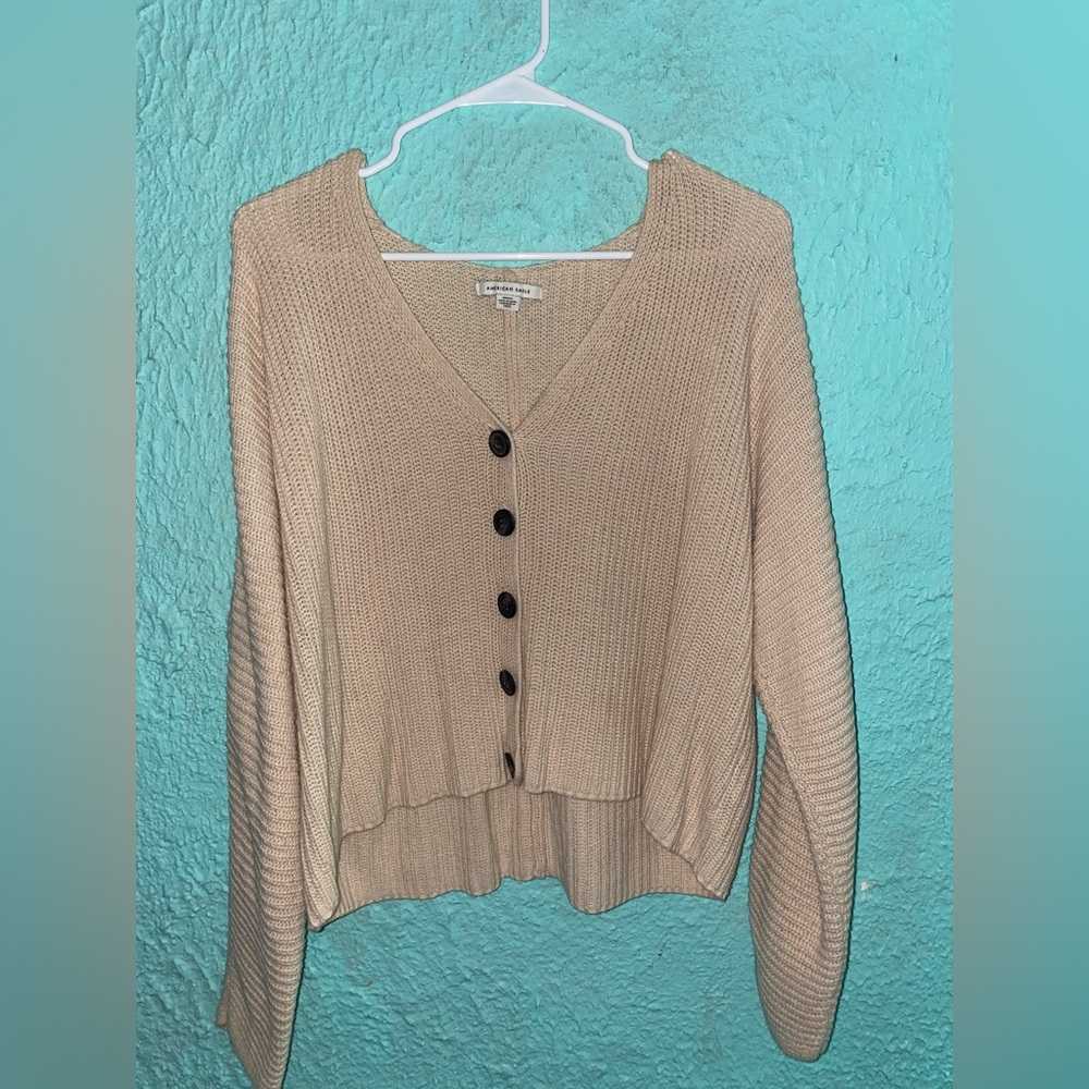 American Eagle Cropped Sweater